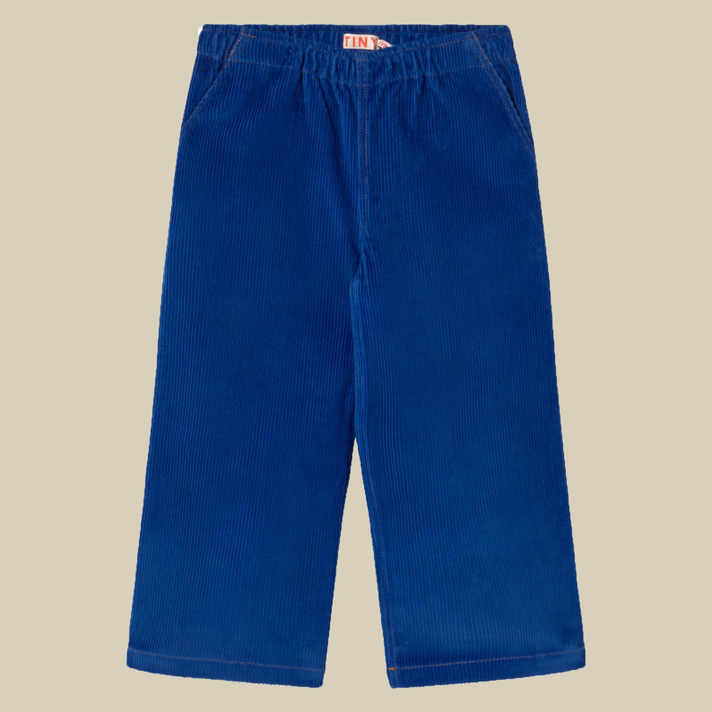 Pantalone in velluto blu elettrico