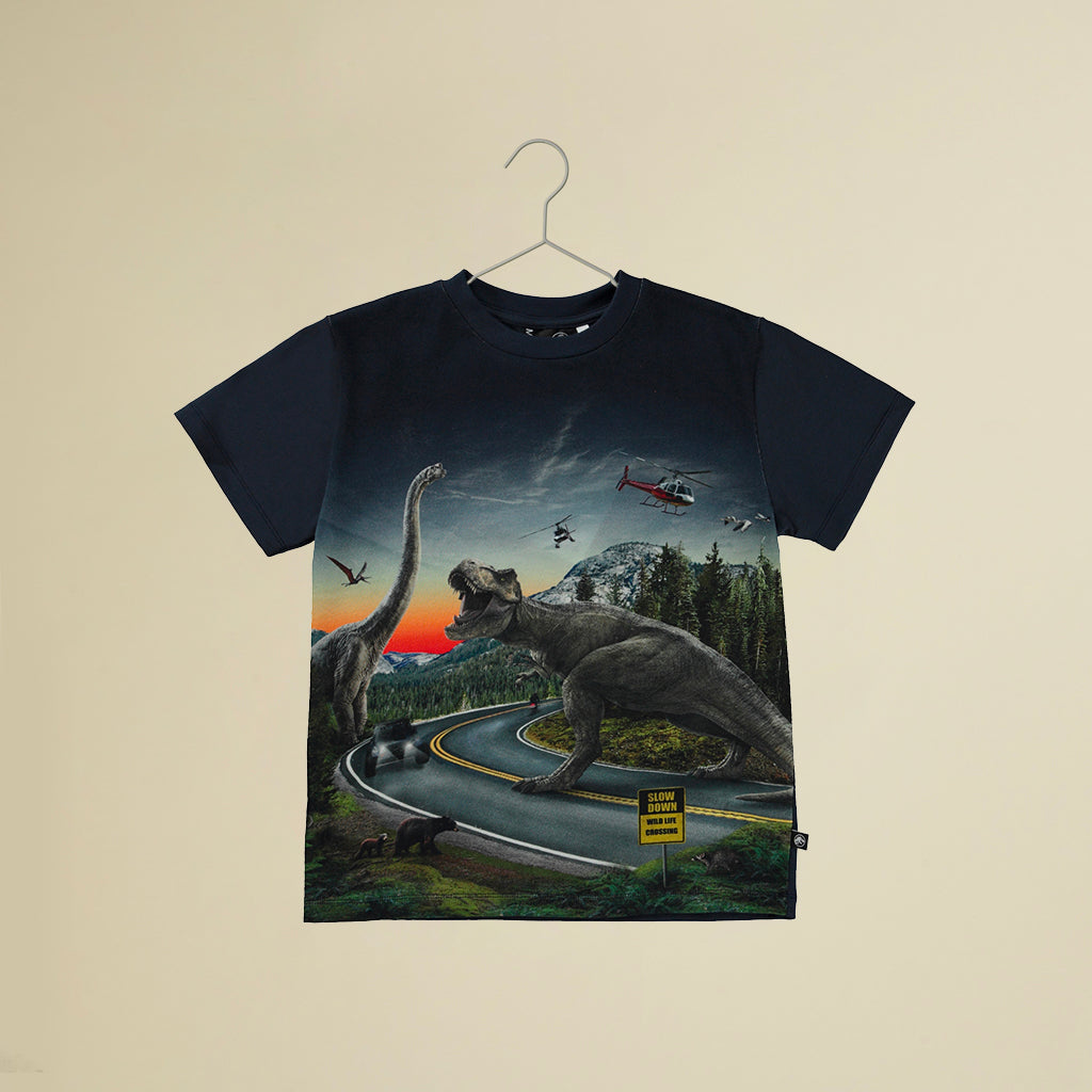 T-shirt maniche corte dinosauri