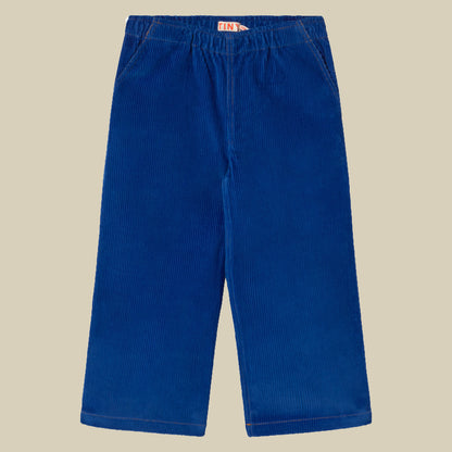 Pantalone in velluto blu elettrico