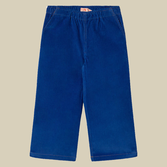 Pantalone in velluto blu elettrico