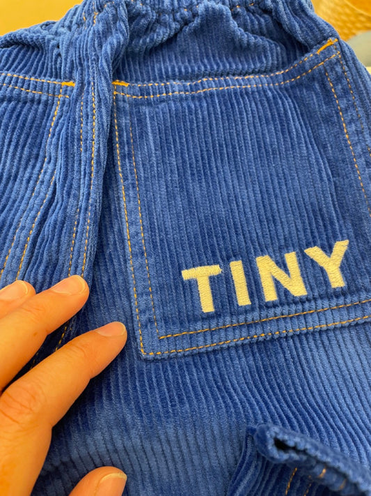 Pantalone in velluto blu elettrico