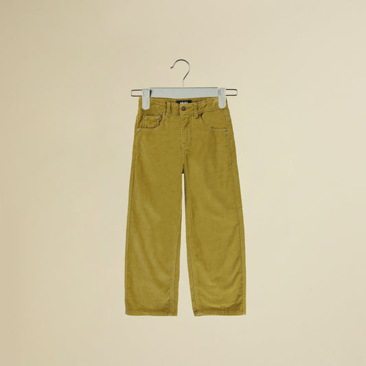 Pantalone lungo di velluto a costine